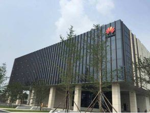 眾巨頭入駐襄陽(yáng)云谷，金融外包服務(wù)繪就城市未來(lái)新藍(lán)圖